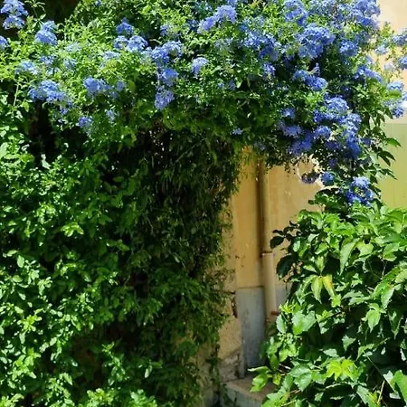Les Tournesols Bed & Breakfast *
